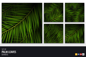 Palm Leaves background