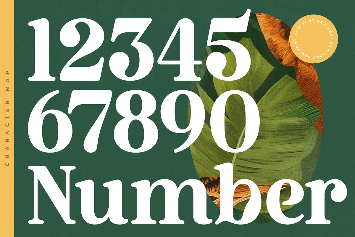 Bruge Vibes Bold Display Serif, a Serif Font by timelesstype.co (Photo 4 of 20)
