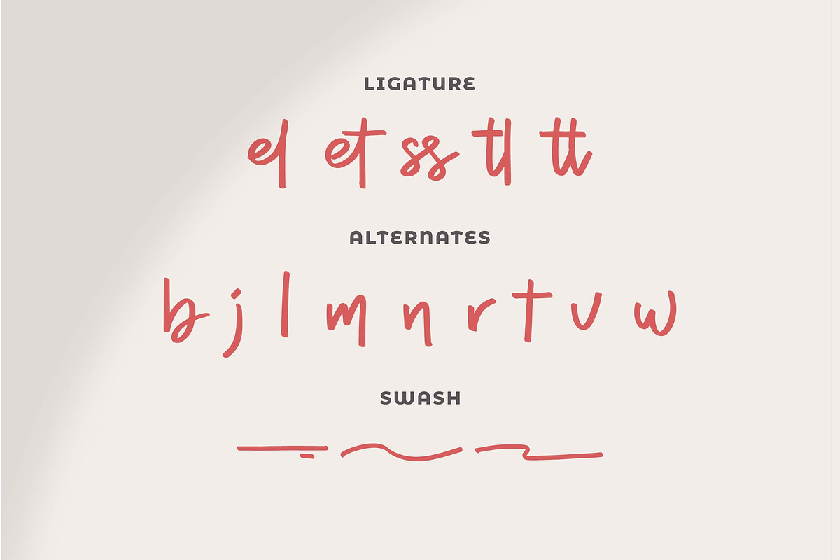 Dhel Fyn | Handwriting Script Font, a Script Font by gracetype_studio (Photo 12 of 13)