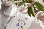 Watercolor Botanical Wildflowers Set, a Decorative Illustration by Carol Lozove (Thumbnail 14 of 36)