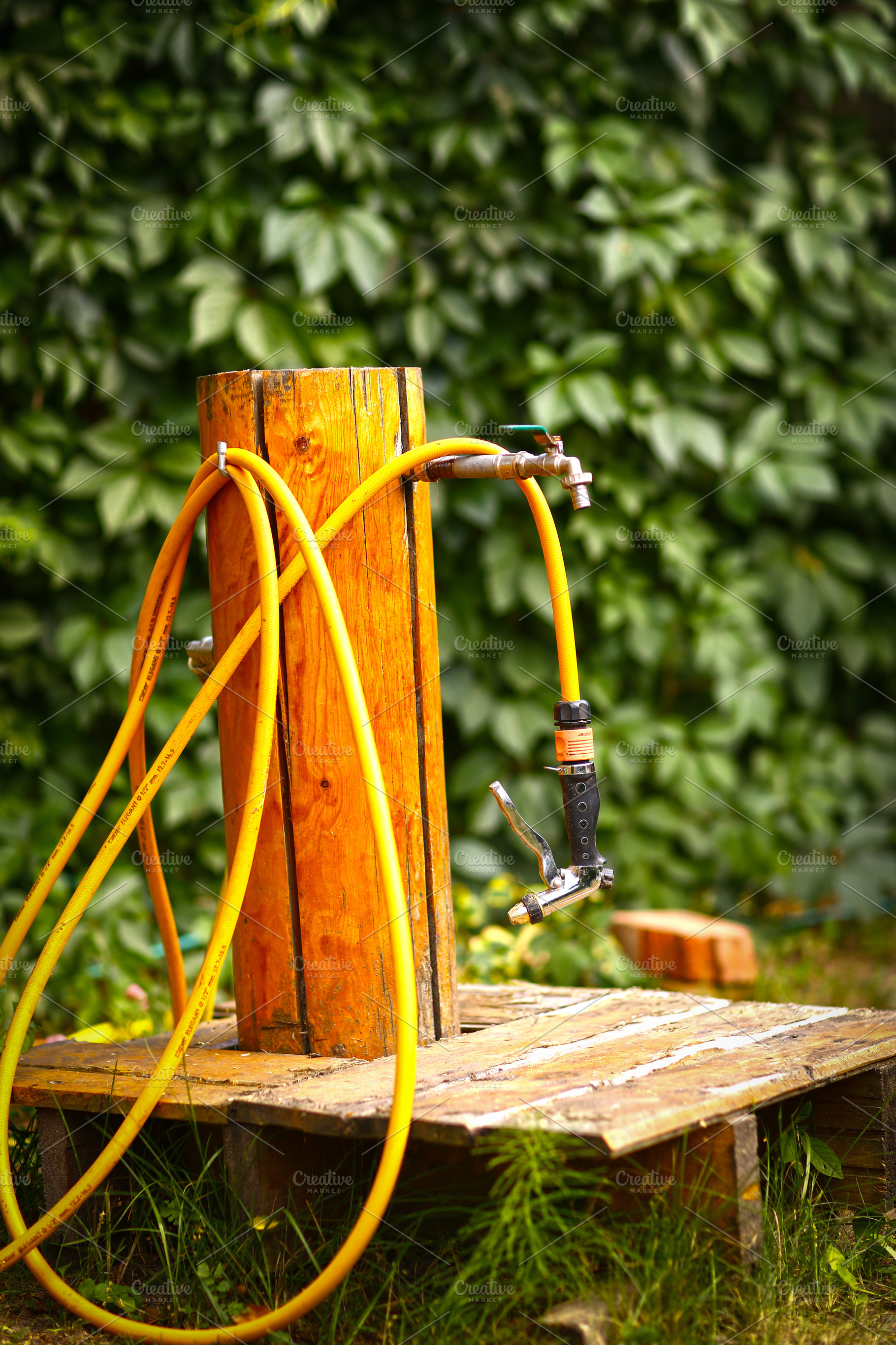 water outlet well with hose in green, a Nature Photo by Famapictura