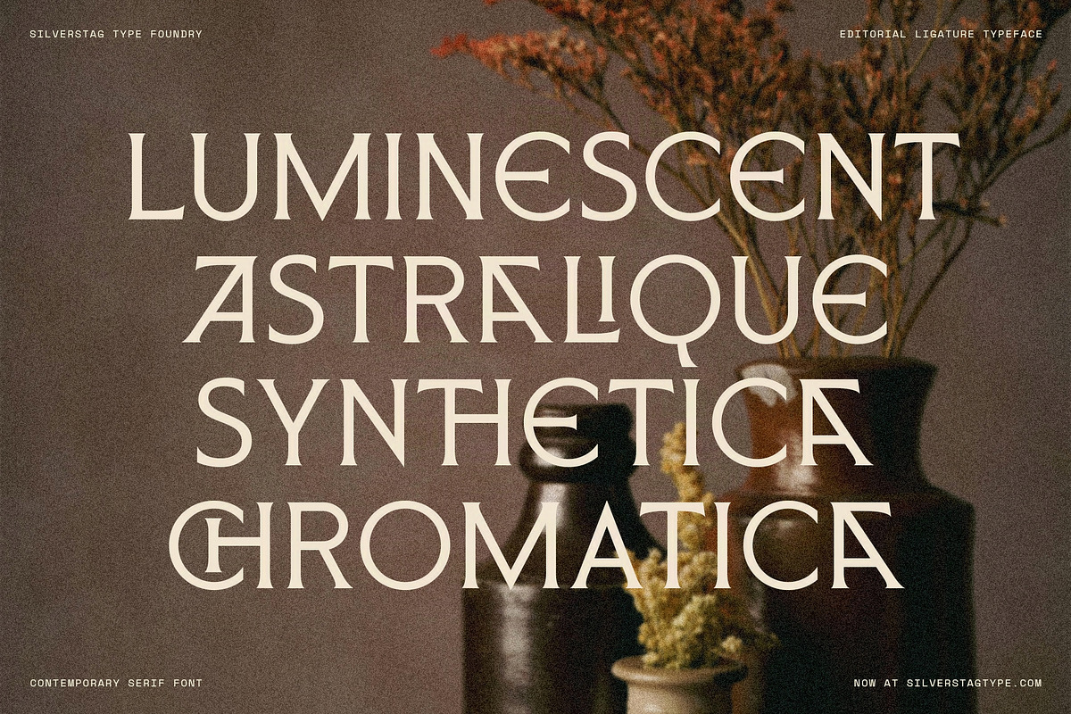 ARCILLA – Editorial Serif Typeface, a Serif Font by SilverStag Type Foundry