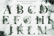 Herbarium: Design Set, a Graphic by Lumitar (Thumbnail 7 of 14)