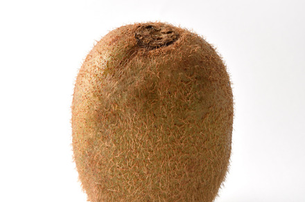 Detail of whole kiwi on white table isolated, a Food & Drink Photo by Davizro's Market