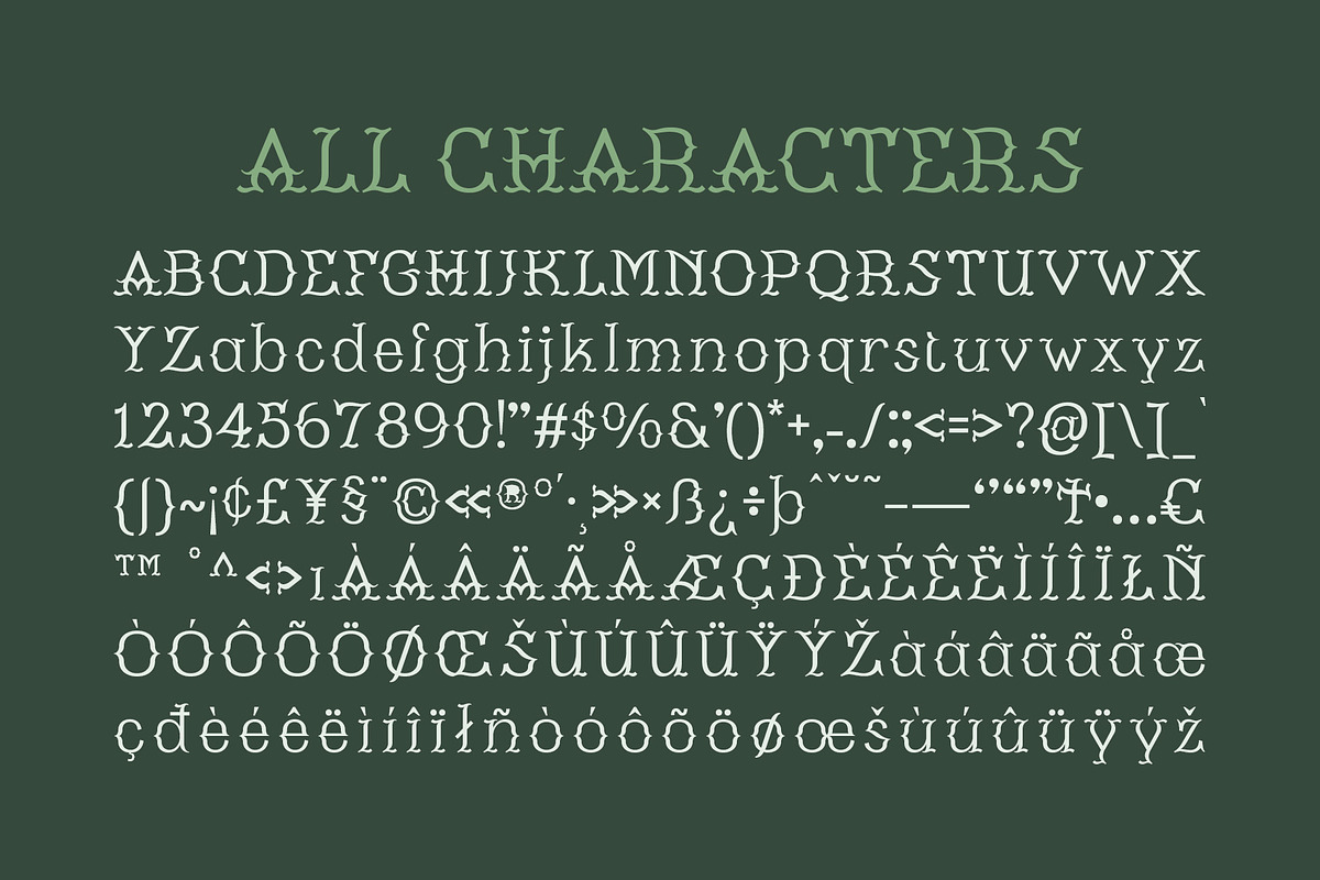 CS Malion – Classic Font, a Serif Font by Craft Supply Co. (Photo 8 of 8)