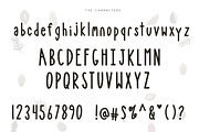 Bonfire - A Bold Handwritten Font, a Script Font by KA Designs (Thumbnail 8 of 8)