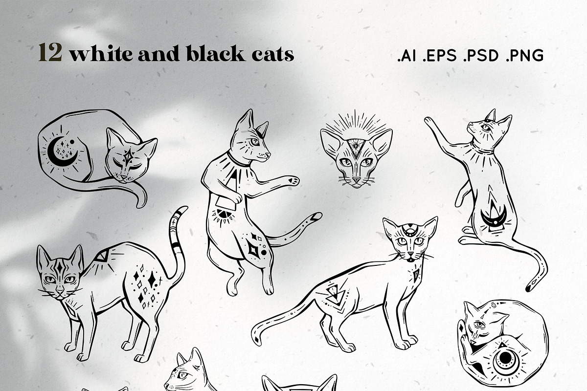 Magic Cats Illustrations Clipart, an Illustration by Julia M. Watercolor (Photo 8 of 13)