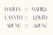 Chalia - Modern Stylish Serif Font, a Serif Font by Aqeel_Art (Thumbnail 9 of 13)