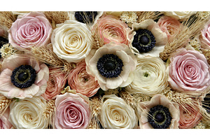 Vibrant flowers and grains create a, an Arts & Entertainment Photo by Lermont51