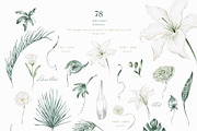 White flowers and tropical leaves, an Illustration by astelenadesign (Thumbnail 3 of 14)