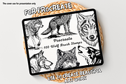 100 Wolf Procreate Stamps, a Brush Add-On by Painter Creative Books (Thumbnail 1 of 9)