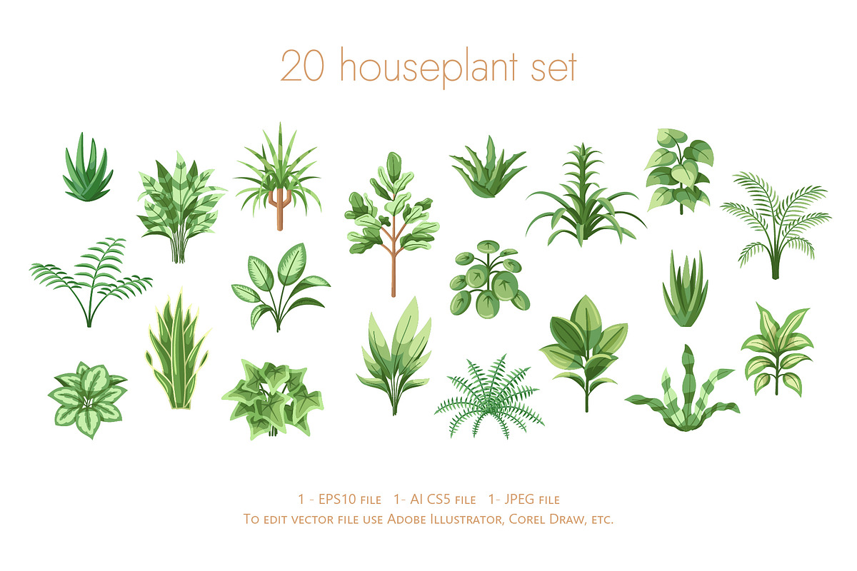 Beautiful House Plants In Pots, a Decorative Illustration by Art Design (Photo 4 of 7)