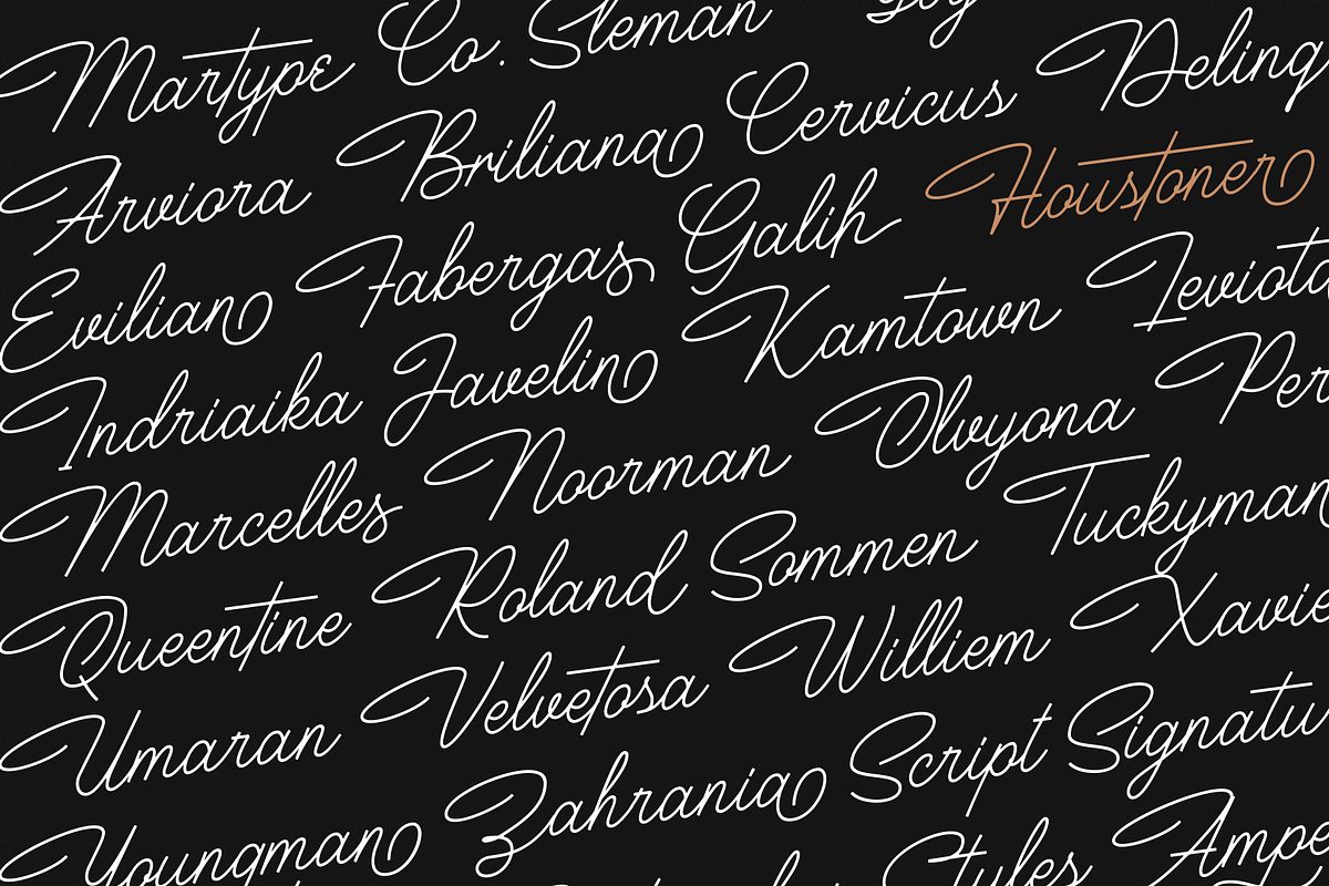 Houstoner Script + EXTRAS! (40%OFF) preview 4