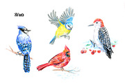30 PNG images. Winter forest animals, an Animal Illustration by Art by Lady Natali (Thumbnail 3 of 8)