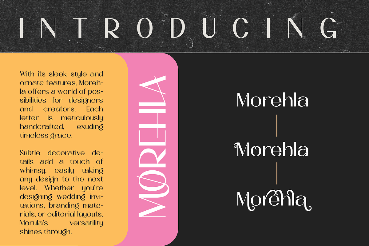 Morehla Simple Modern Sans Serif, a Sans Serif Font by AuthenType (Photo 2 of 10)