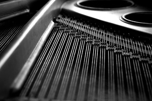 Piano Strings, an Abstract Photo by THP Creative