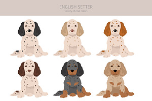 English Setter Clipart