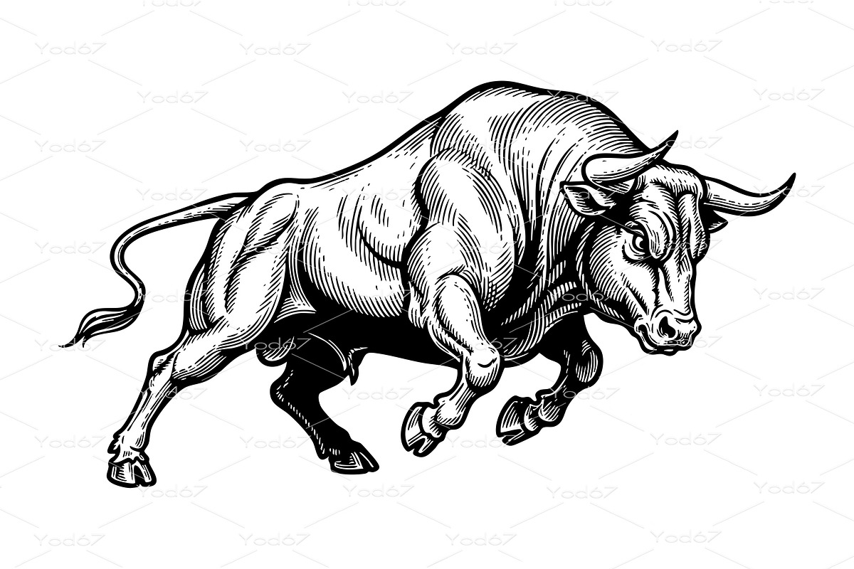 Vectpr of dynamic and muscular bull, an Animal Illustration by yod67
