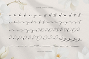 Willsyard | Modern Calligraphy, a Script Font by Denustudios (Thumbnail 11 of 12)