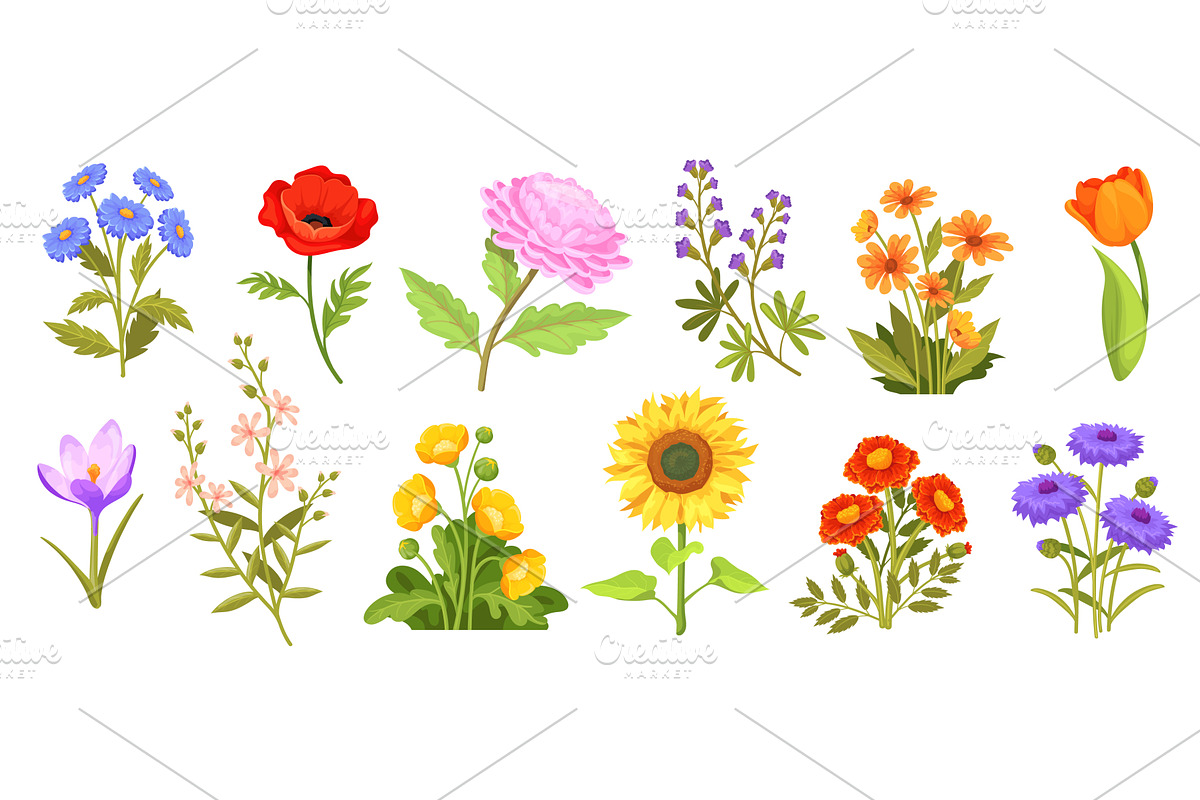 Cartoon wildflowers. Field and, an Object Illustration by Stock-Smart-Start