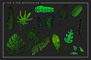 Tropical Watercolor Illustrations, an Illustration by Spring Break Jake (Thumbnail 13 of 19)