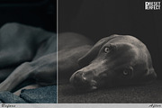 Matte Lightroom Presets, an Action Add-On by Preset Perfect (Thumbnail 2 of 5)