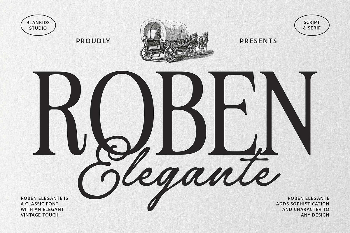 Roben Elegante Font Duo, a Serif Font by Honestype (Photo 1 of 12)