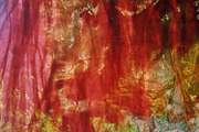 Dark red abstract.Sweet rosy dark, an Abstract Photo by Manis recycle abstract (Thumbnail 1 of 3)