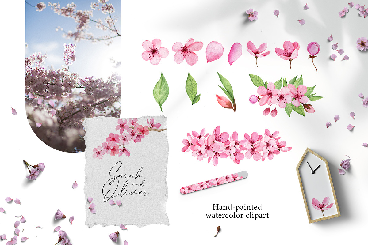 Cherry blossom watercolor clipart, an Illustration by Color Hugs Art (Photo 2 of 8)