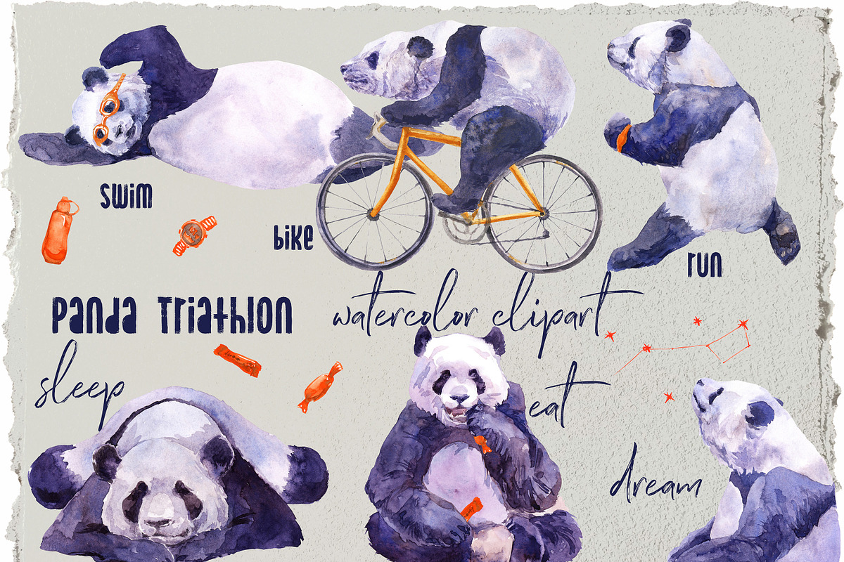 Triathlon Panda Watercolor Set, an Animal Illustration by Cat In Colour (Photo 1 of 4)