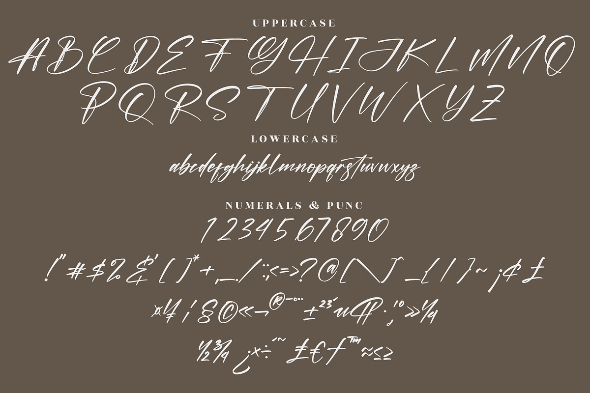 Hunterlost Modern Signature Font, a Script Font by Letterena Studios Script (Photo 13 of 15)