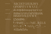 Seraphine Modern Font Serif, a Serif Font by Letterena Studios (Thumbnail 13 of 15)