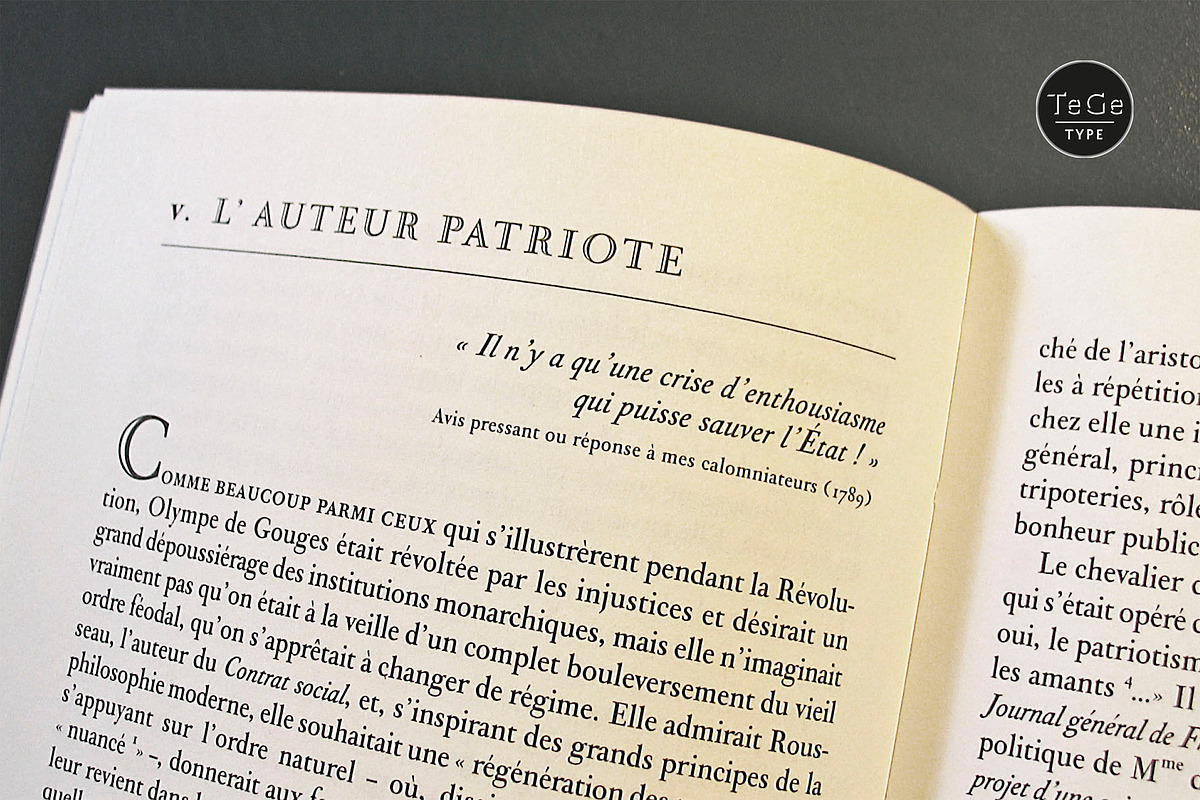 Vizille, a Serif Font by TeGeType foundry (Photo 2 of 4)