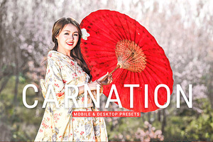 Carnation Pro Lightroom Presets