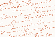 Briquete | Natural Brush Font, a Script Font by Ardana Creative (Thumbnail 10 of 14)