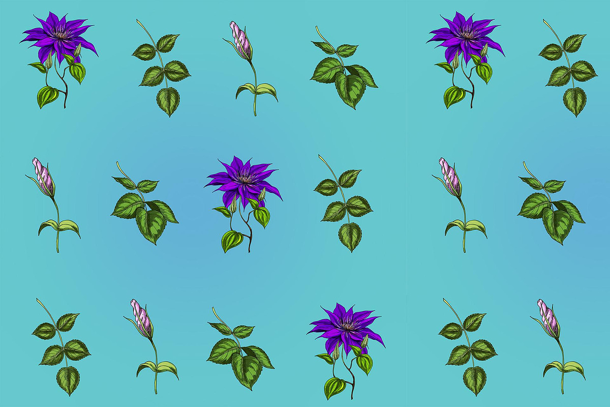Botany and tenderness. Flowers set, an Object Illustration by Schumacher Shop (Photo 8 of 8)