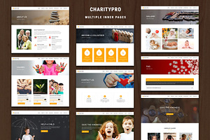 Charitypro Charity WordPress Theme