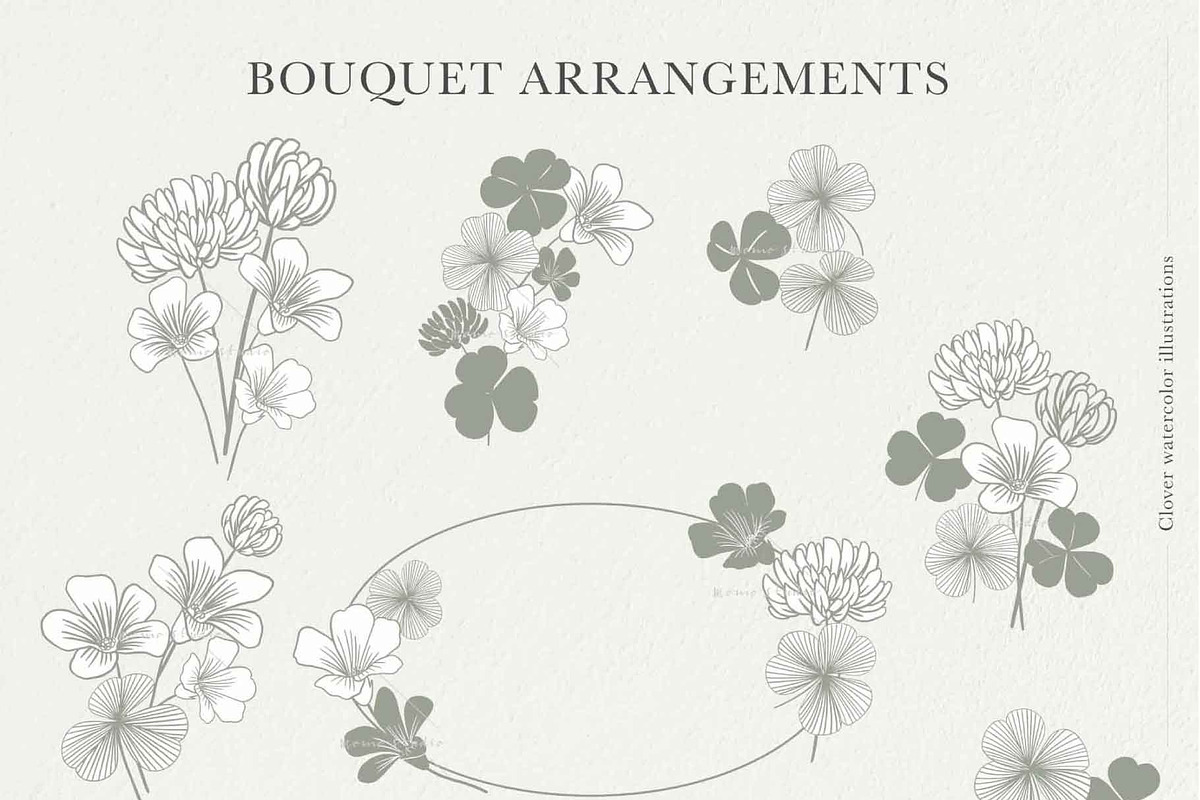 Clover Botanicals - Florals & Leaves, an Illustration by Momo Studio (Photo 3 of 12)