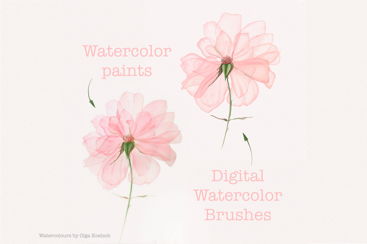 Watercolor Digital Brushes Procreate, a Brush Add-On by Elenbushe (Photo 4 of 5)