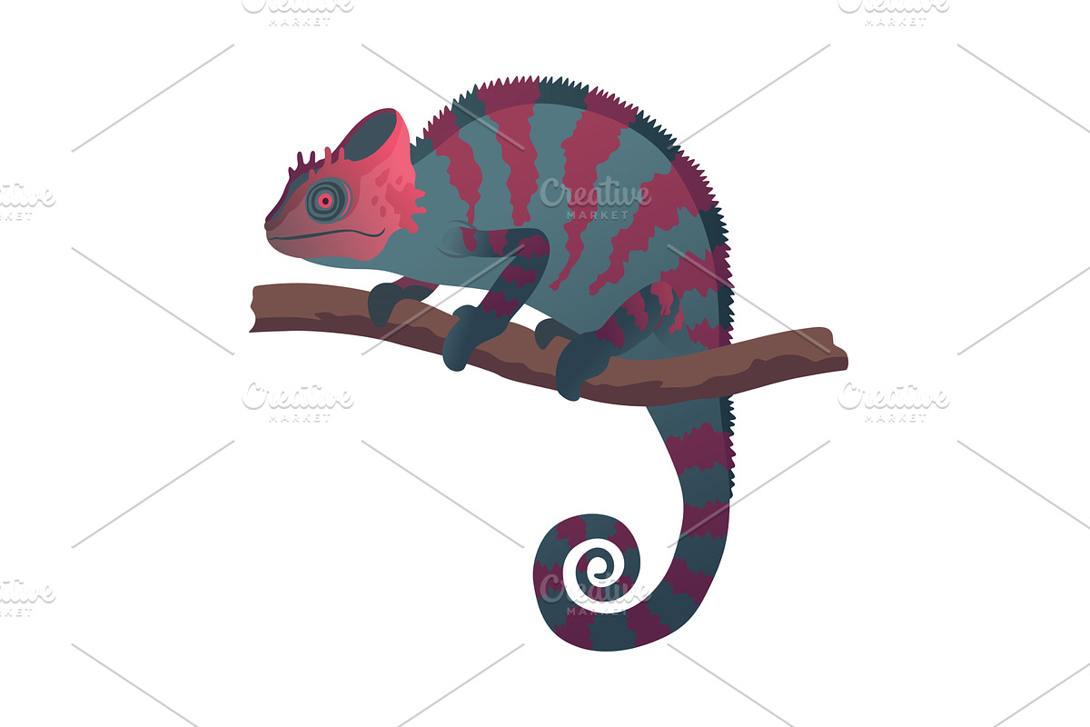 Chameleon lizard. Reptiles, an Animal Illustration by Things for designers