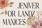 Galaxy Finger Elegant Serif Font, a Serif Font by UICreative (Thumbnail 3 of 13)