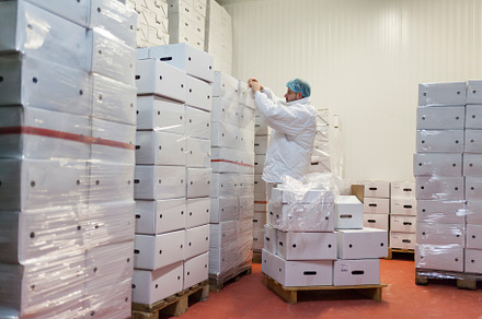 Hygiene in industrial process plant featuring retail, cargo, and entrance
