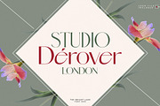 The Bright Lake Font Duo + Logos, a Serif Font by SNIPESCIENTIST (Thumbnail 14 of 31)