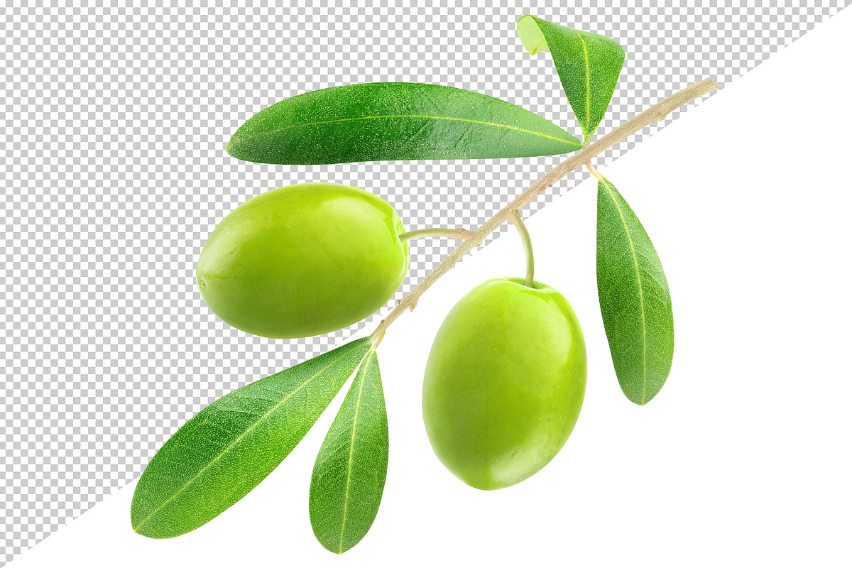 Green olives on a branch preview 2