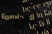 Magoa - Serif Ligature Typeface, a Serif Font by VP Fonts (Thumbnail 3 of 10)