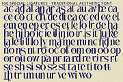 Traditional Aesthetic - Modern Serif, a Serif Font by 177Studio (Thumbnail 8 of 8)