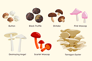 Wild Mushroom Illustrations, a Seasonal Illustration by ThePixelLibrary (Thumbnail 2 of 10)