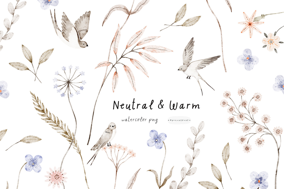 Neutral&Warm watercolor png, a Decorative Illustration by erasovas (Photo 1 of 9)