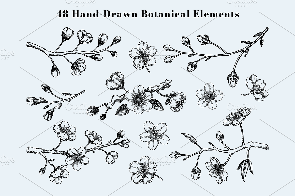Vintage Spring Botanical Collection, a Seasonal Illustration by Yevheniia (Photo 2 of 14)