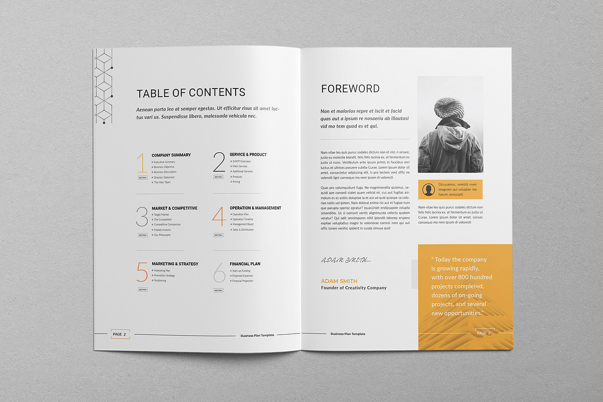 Brochure Bundle | Docx, Iindd, Canva, a Brochure Template by Creativity-Design (Photo 31 of 55)
